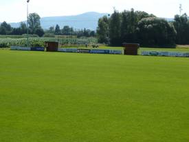 Sportplatz Waltersweier